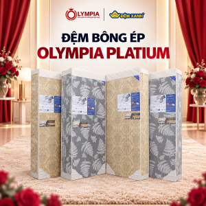 Đệm bông ép Olympia Platium (Lõi bông tinh khiết - Đệm cứng không xẹp lún, Bảo hành 7 năm)