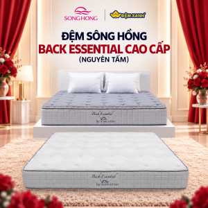 Đệm Sông Hồng Back Essential cao cấp nguyên tấm