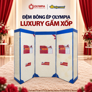 Đệm Bông Ép Olympia Luxury Gấm Xốp Cao Cấp Gập 3 Chính Hãng, Bảo Hành 9 Năm