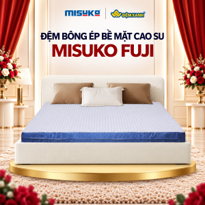 Đệm bông ép bề mặt cao su Misuko Fuji