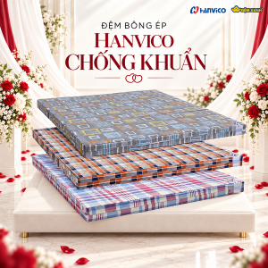 Đệm bông ép Hanvico chống khuẩn