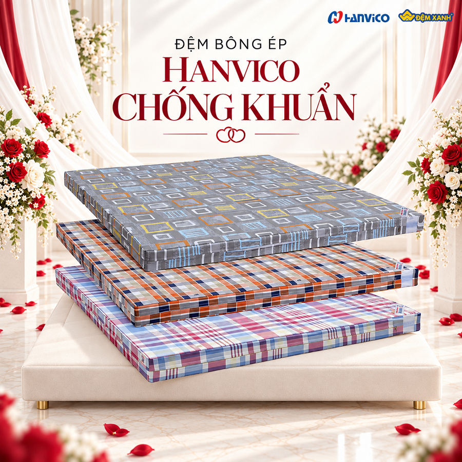Đệm bông ép Hanvico chống khuẩn