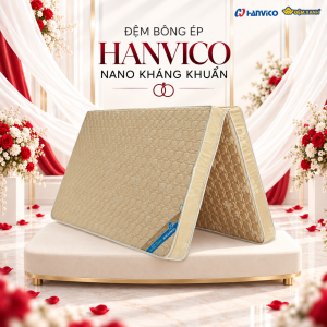Đệm bông ép Hanvico nano kháng khuẩn