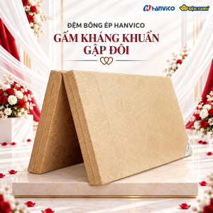 Đệm bông ép Hanvico gấm chống khuẩn