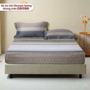 Bộ ga chun Olympia Spring OSP2501