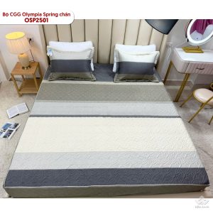 Alternative view of Bộ chăn ga gối Olympia Spring OSP2501