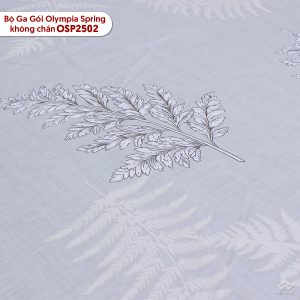 Bộ ga chun Olympia Spring OSP2502 - Ảnh 4