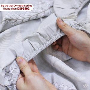Bộ ga chun Olympia Spring OSP2502 - Ảnh 8