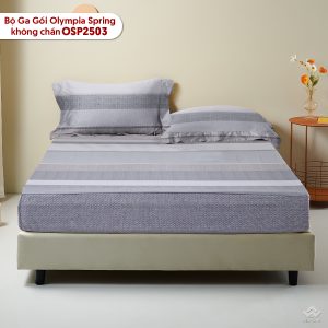 Bộ ga chun Olympia Spring OSP2503