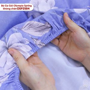 Bộ ga chun Olympia Spring OSP2504 - Ảnh 4