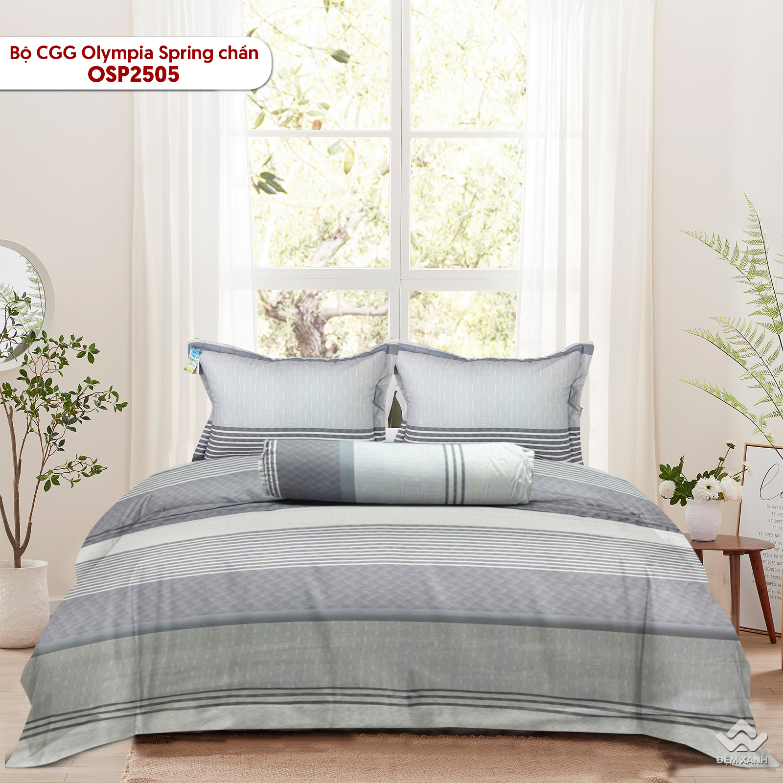 Bộ chăn ga gối Olympia Spring OSP2505
