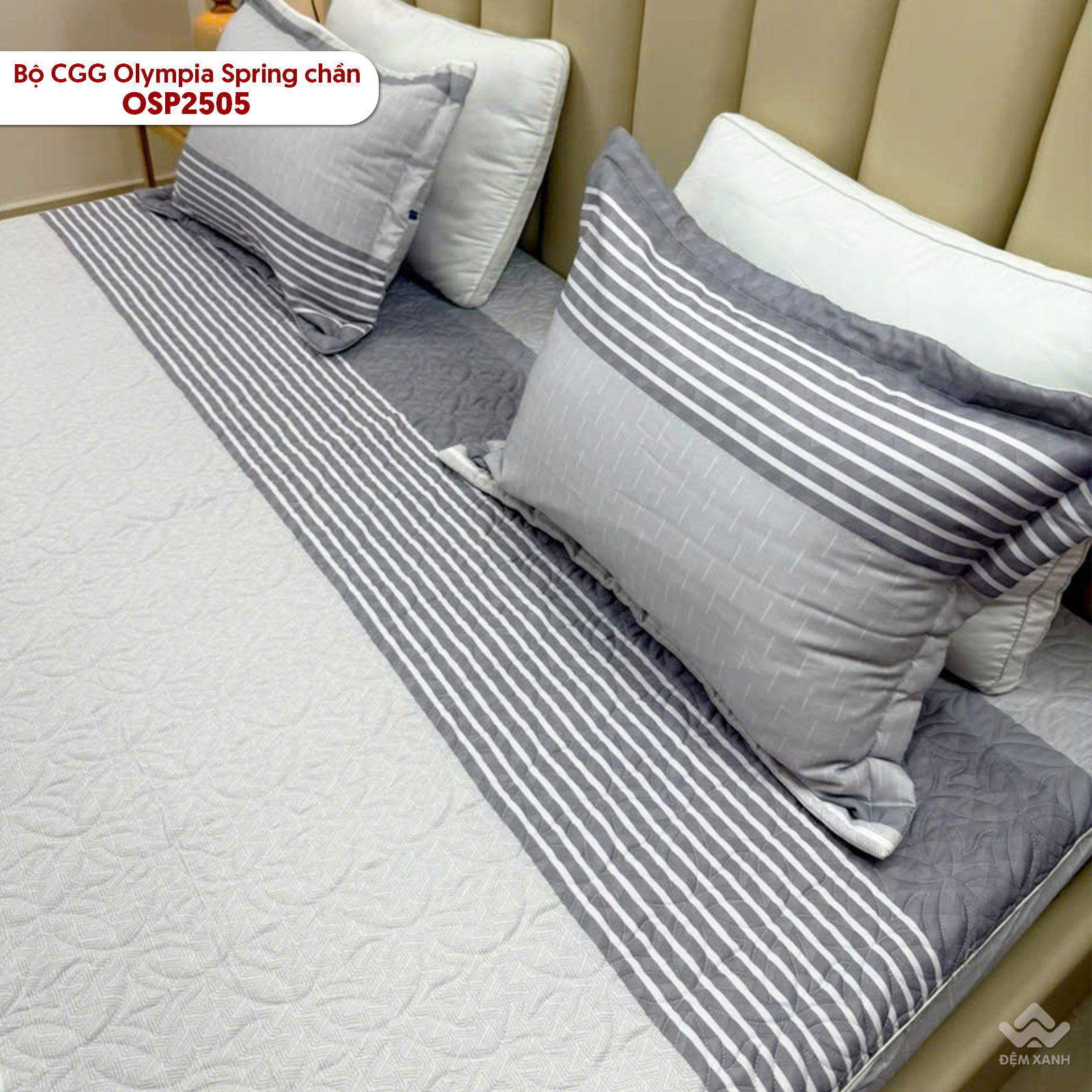 Bộ chăn ga gối Olympia Spring OSP2505 - Ảnh 6
