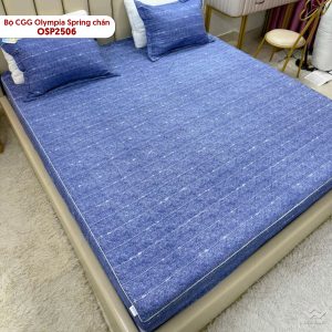 Bộ chăn ga gối Olympia Spring OSP2506 - Ảnh 5