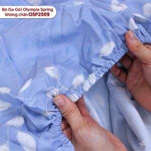 Bộ ga chun Olympia Spring OSP2509 - Ảnh 8