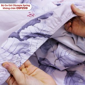 Bộ ga chun Olympia Spring OSP2510 - Ảnh 7