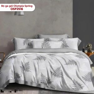 Bộ chăn ga gối Olympia Spring OSP2516