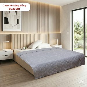 Chăn hè Sông Hồng cotton BC23081 - Ảnh 9