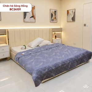 Chăn hè Sông Hồng cotton BC24101 - Ảnh 3