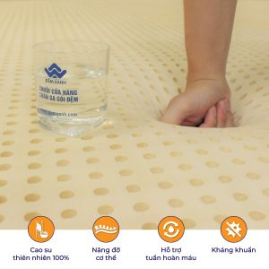 Đệm cao su Olympia AQUA (đệm cao su thiên nhiên) - Ảnh 4
