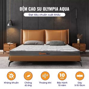 Đệm cao su Olympia AQUA (đệm cao su thiên nhiên) - Ảnh 6