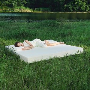 Đệm cao su Olympia AQUA (đệm cao su thiên nhiên) - Ảnh 7