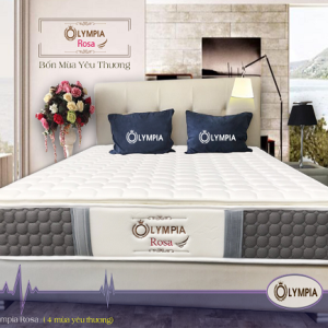 Đệm lò xo Bốn Mùa Olympia Rosa dày 27cm - Ảnh 9