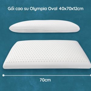 Gối cao su Olympia Oval 40x70cm cao 12cm - Ảnh 3
