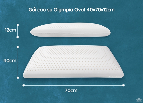 Gối cao su Olympia Oval 40x70cm cao 12cm - Ảnh 3