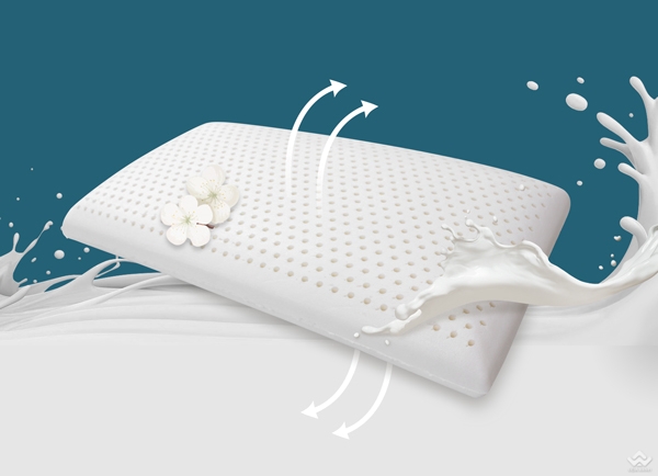 Gối cao su Olympia Oval 40x70cm cao 12cm - Ảnh 6
