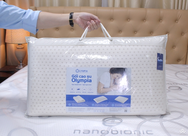 Gối cao su Olympia Oval 40x70cm cao 12cm - Ảnh 11