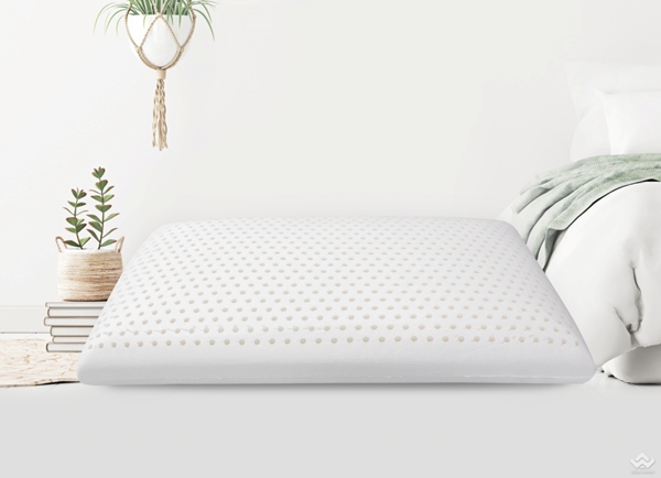 Gối cao su Olympia Oval 40x70cm cao 12cm - Ảnh 2