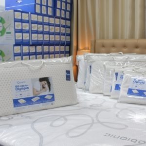 Gối cao su Olympia Oval 40x60cm thấp 5cm - Ảnh 11