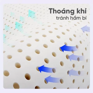 Đệm cao su Vạn Thành Standard - Ảnh 6