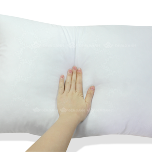 Ruột gối đầu Sông Hồng - Ảnh 5