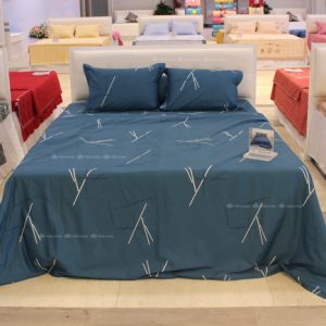 Vỏ chăn xuân thu Sông Hồng basic cotton BC22060