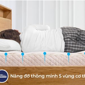 Alternative view of Đệm cao su Liên Á 5ZONE