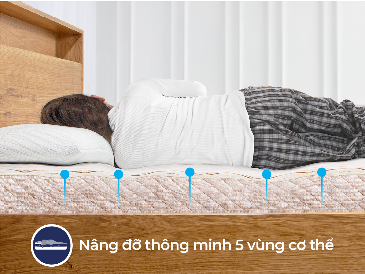 Đệm cao su Liên Á 5ZONE - Ảnh 2