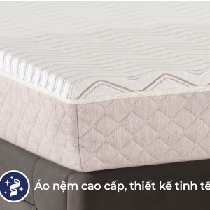 Đệm cao su Liên Á 5ZONE - Ảnh 3