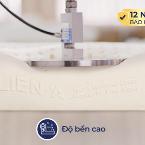 Đệm cao su Liên Á 5ZONE - Ảnh 4