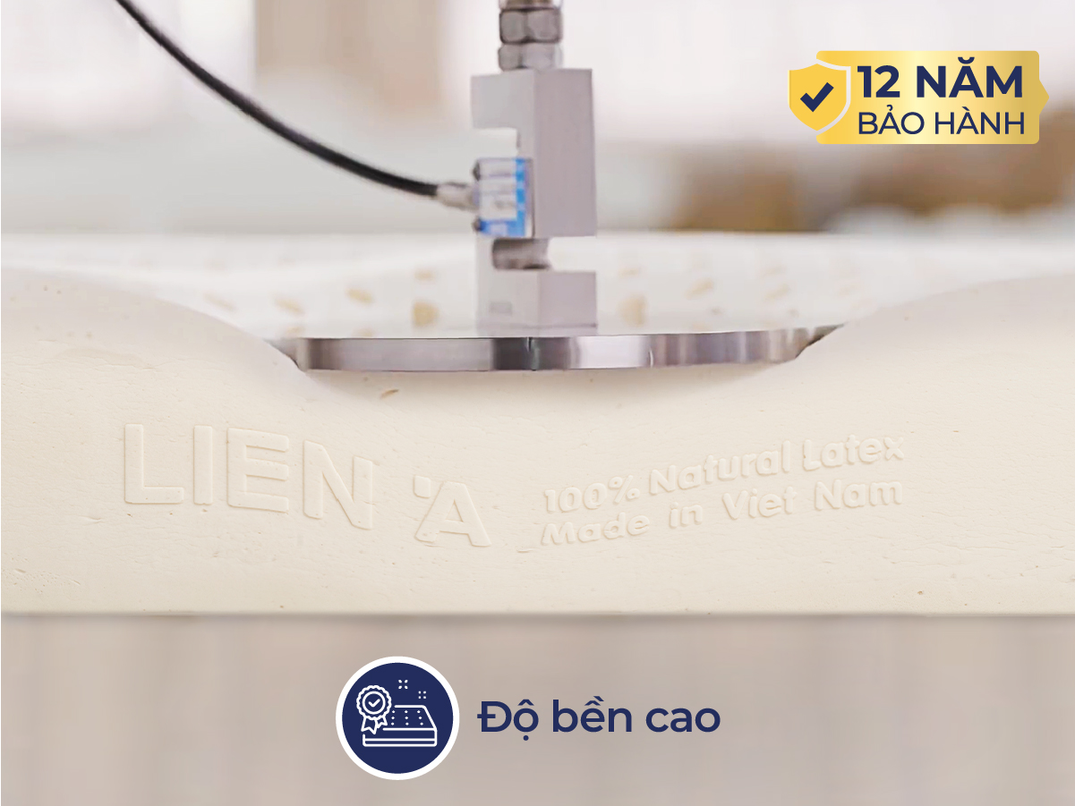 Đệm cao su Liên Á 5ZONE - Ảnh 4