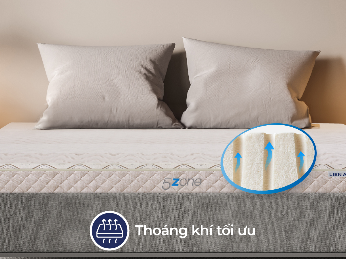Đệm cao su Liên Á 5ZONE - Ảnh 5