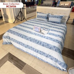 Vỏ chăn xuân thu Sông Hồng basic cotton BC26126 - Ảnh 3