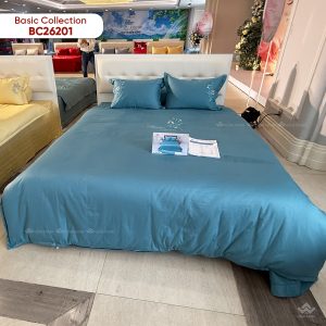 Vỏ chăn xuân thu Sông Hồng basic cotton BC26201 - Ảnh 4