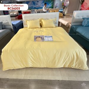 Chăn đông Sông Hồng Basic cotton BC26203