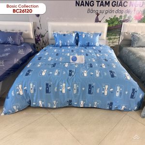 Chăn đông Sông Hồng Basic cotton BC26120