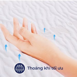 Đệm cao su Liên Á Classic - Ảnh 3