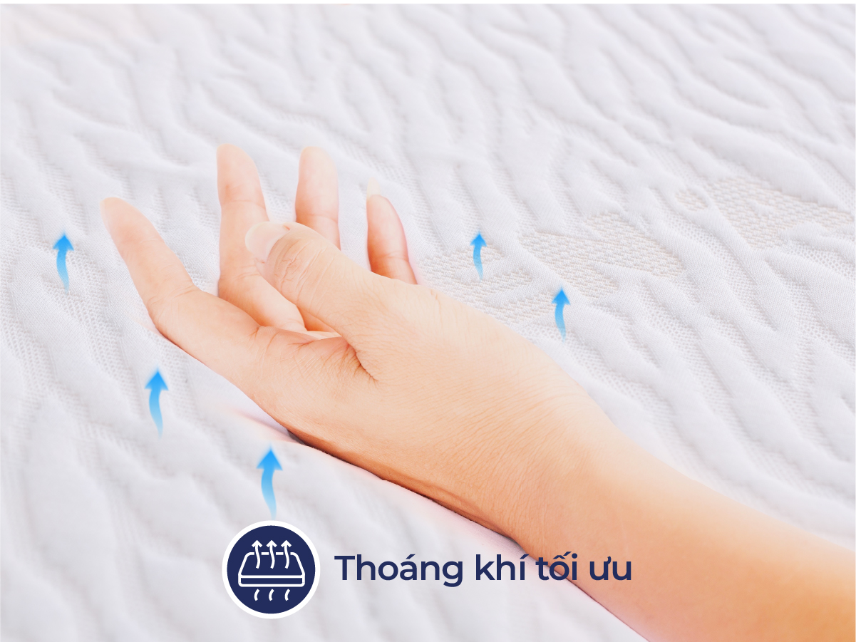Đệm cao su Liên Á Premium Classic - Ảnh 3