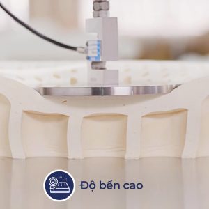 Đệm cao su Liên Á Premium Classic - Ảnh 4