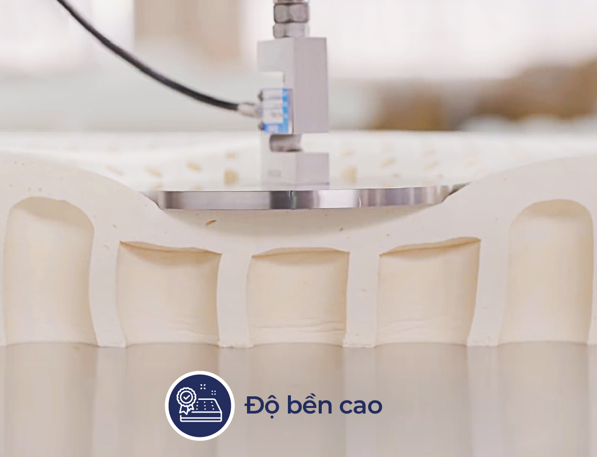 Đệm cao su Liên Á Premium Classic - Ảnh 4